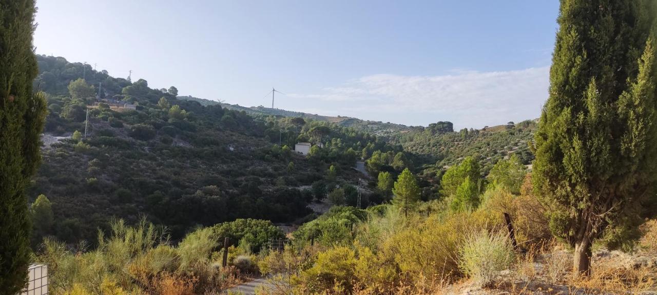 Casas Rurales Las Vinas Osuna Exteriör bild